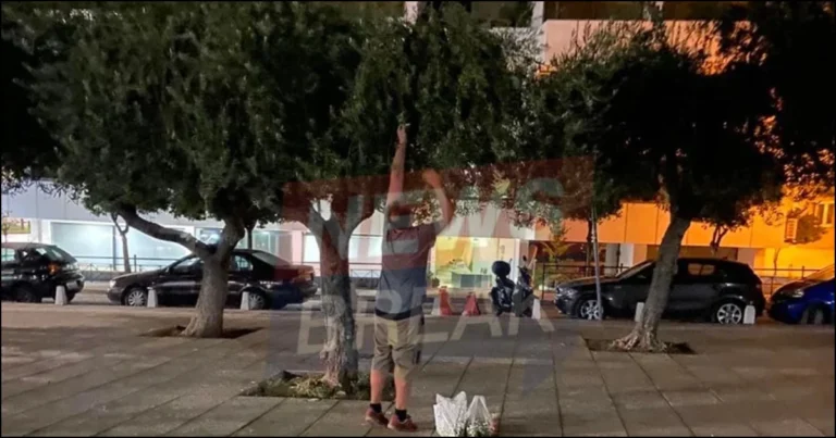 Θα πούμε το ψωμί, ψωμάκι: Πολίτης μάζεψε ελιές στο κέντρο της Αθήνας για την οικογένειά του