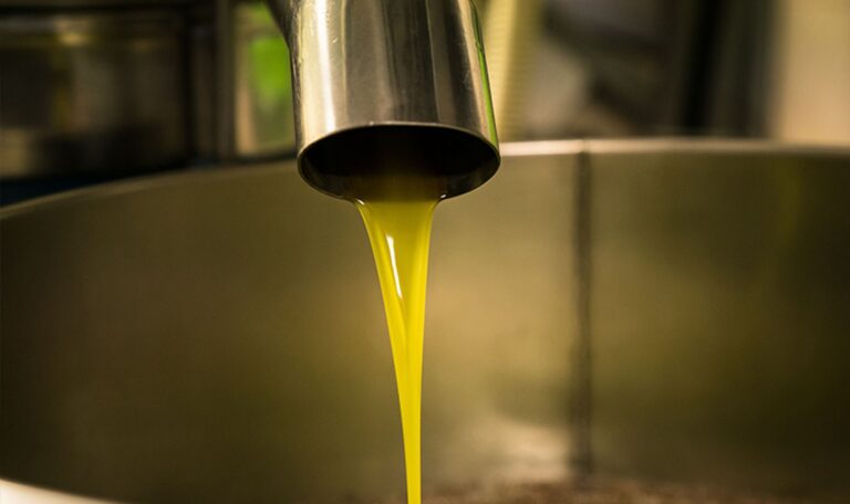 «Υγρός χρυσός» το Λάδι: Βάζουν GPS στα ελαιόδεντρα για να αποφύγουν τις κλοπές οι παραγωγοί
