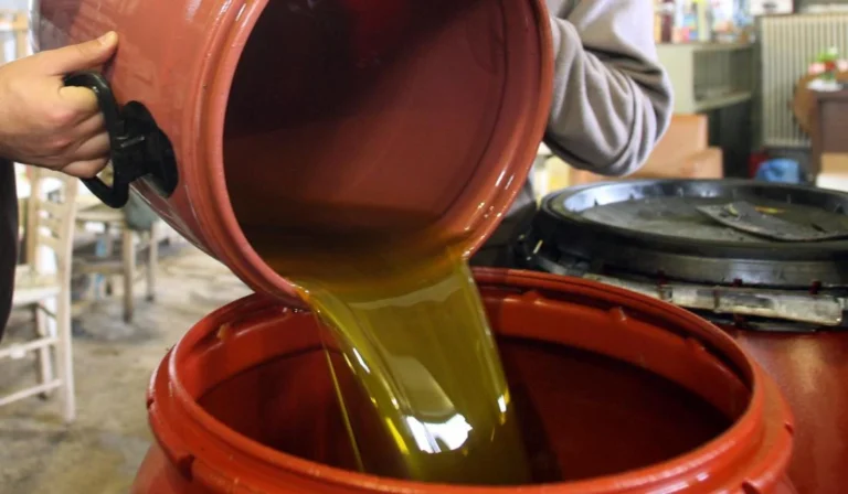 Χαλκιδική: Καταγγέλλουν όττι τους έκλεψαν 37 τόνους λάδι