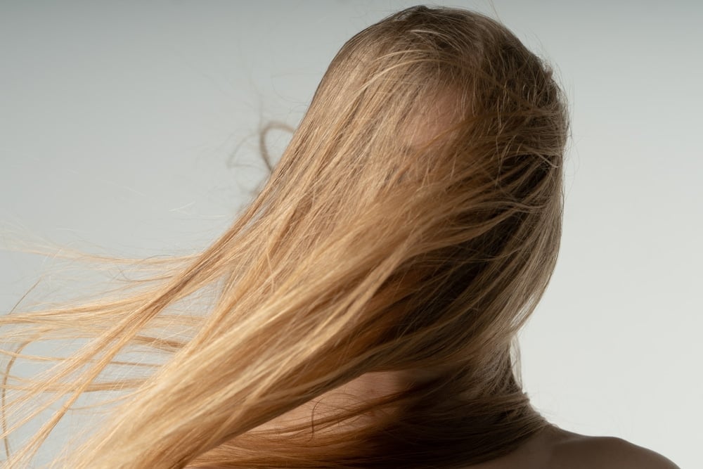 shutterstock 1927731941
