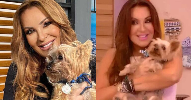 «Σε ευχαριστώ για τα 16 χρόνια αγάπης»: Έφυγε από τη ζωή ο σκύλος της Ναταλίας Γερμανού