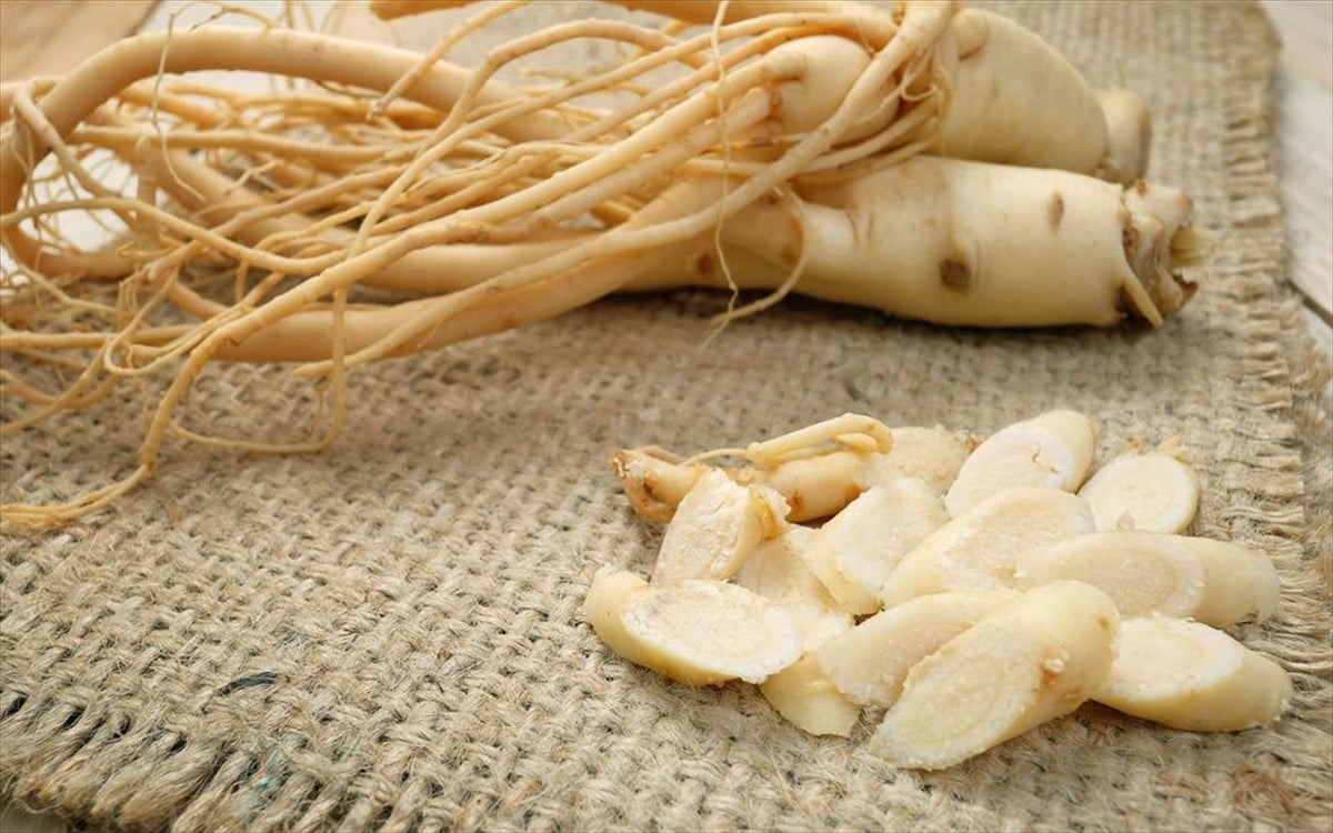Η πολύτιμη αρχαία ρίζα που καταπολεμά κρυολόγημα και στυτικń δυσλειτουργία 2 tzinsengk 1