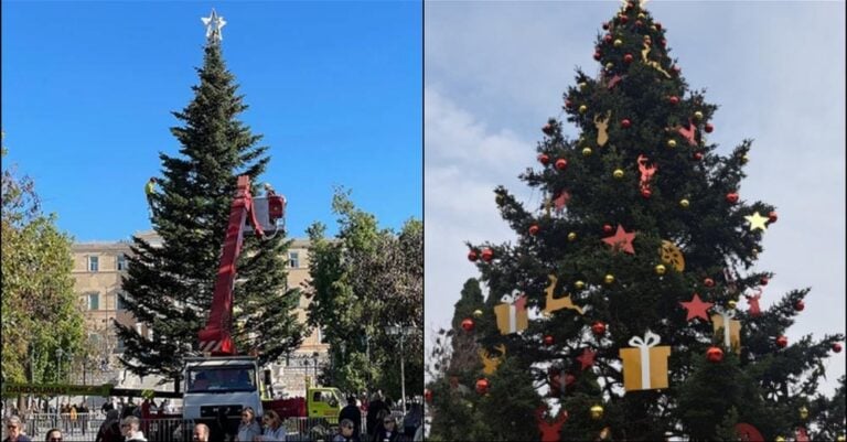 «Είναι το καλύτερο δέντρο στην Ευρώπη»: «Μύρισε» Χριστούγεννα στο Σύνταγμα – Στολίστηκε το χριστουγεννιάτικο δέντρο