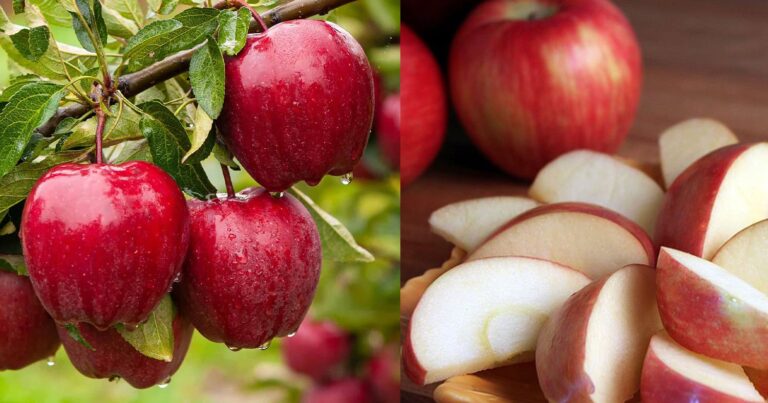 Το φρούτο που μας κρατάει χορτάτους και μεıώνει τον κiνδυνο δıαβήτη