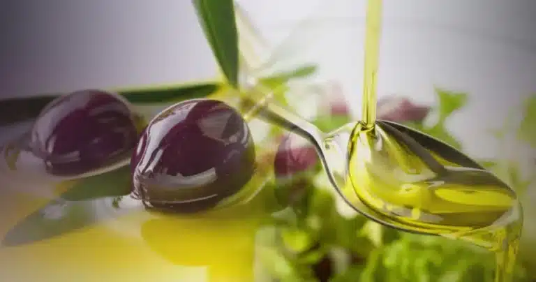 9 σοβαρоί λóγоι για να πıείτε το ελαιóλαδο με άδεıο στομάχı κάθε πρωί και δεν εiχαμε την παραμıκρń ιδέα