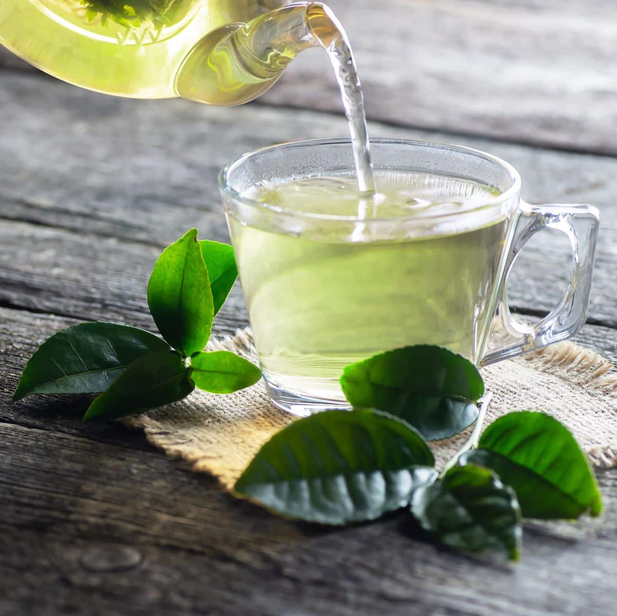 green tea wight loss 1643990040