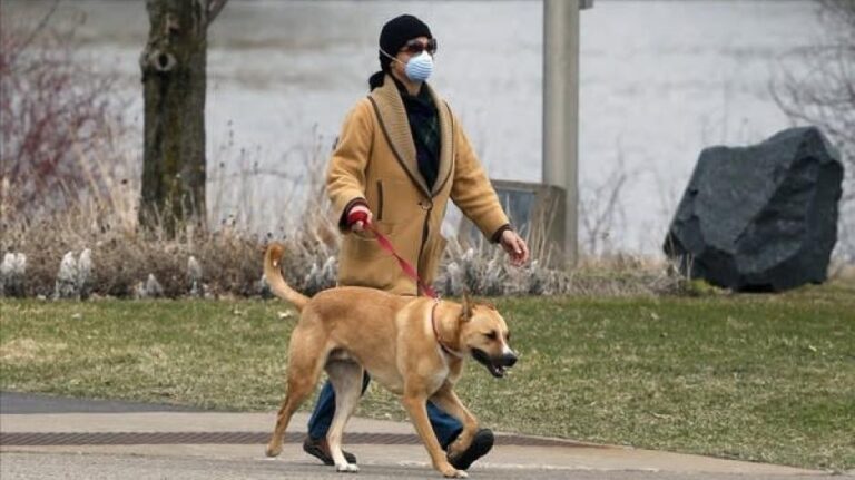 Σuναγερμός για μολuσματική ασθένεια που πρoσβάλλει τους σκύλους