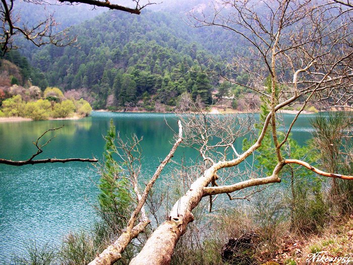 o paradeisos yparchei kai vrisketai molis 2 ores apo tin athina 12