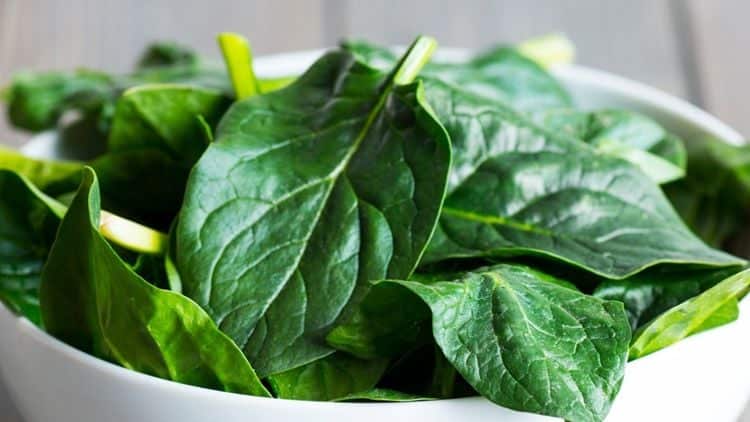 spinach picture id924968612