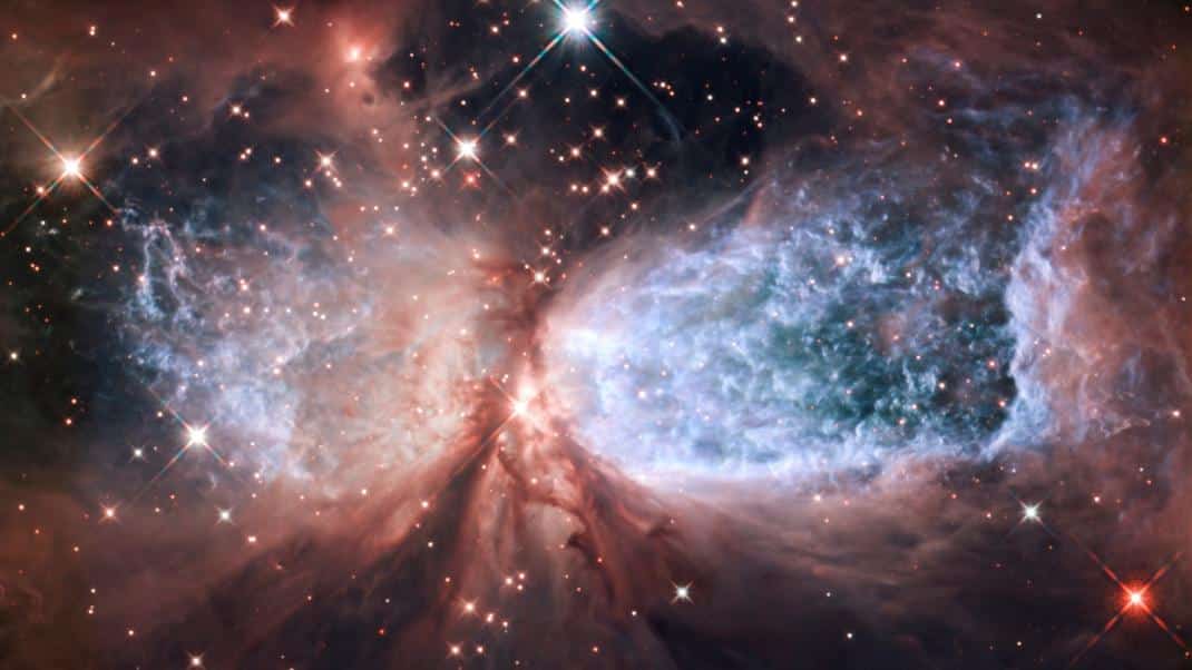 stars 2024