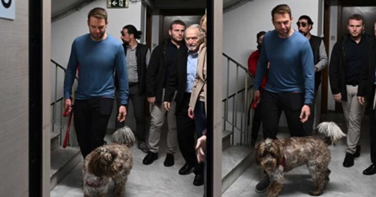 Στέφανος Κασσελάκης: Μαζί με τη σκυλiτσα του Φάρλι πήγε να κάνει εκπομπή στο ραδιόφωνο