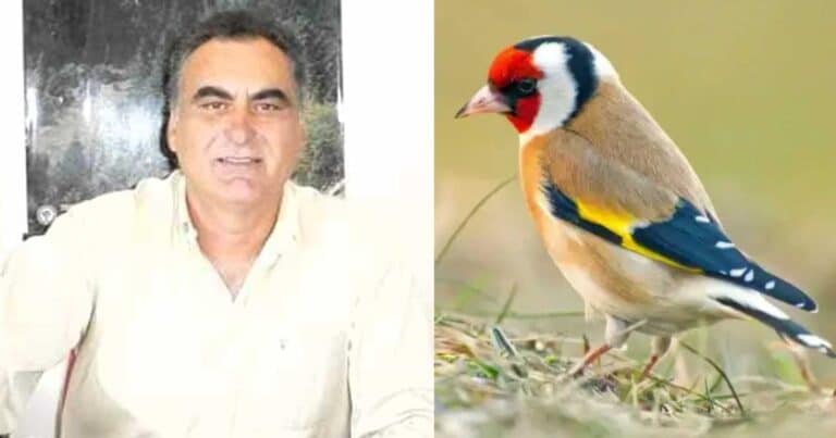 Πλńρωσε με τη ζωή του την αγάπη για τα γαρδέλια: Νεκpóς 56χρονος δάσκαλος, είχε τον πιο τpαγικό θάνaτο