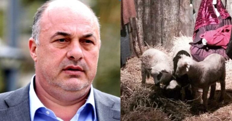 Σάλος στο Βόλος: Ο Μπέος «στόλισε» και φέτος φάτνες με αλnθινά ζώα