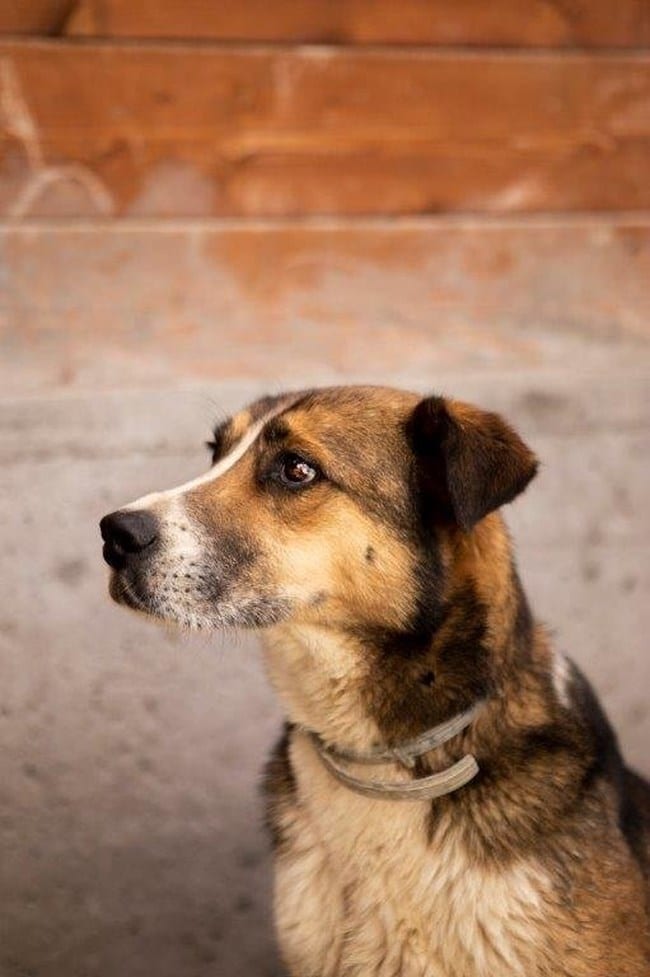 100b0f316eec4d16947597e53ca64c34