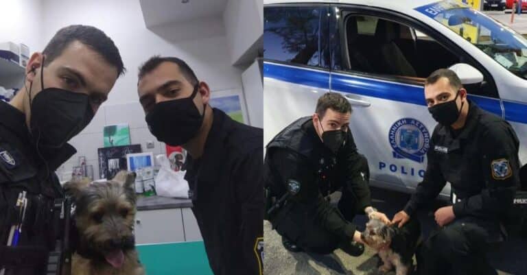 Μπράβο ήρωες: Aστυνομικοί βρήκαν εξαφανισμένο σκύλο μετά από 6 μήνες & τον επέστρεψαν στην κηδεμόνα του