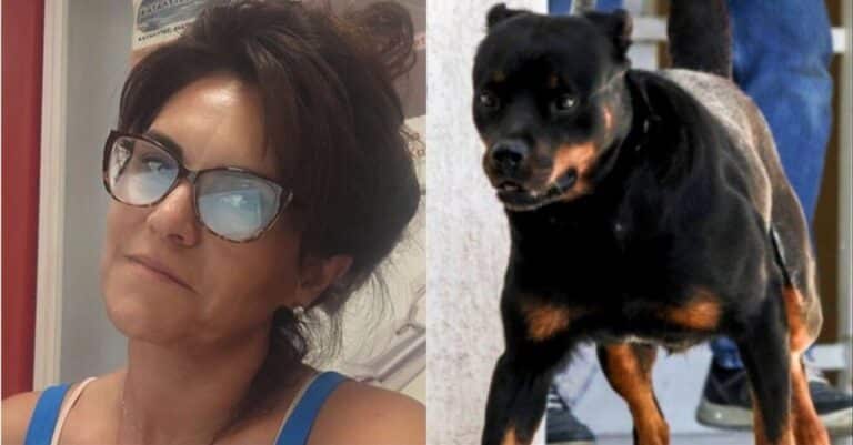 «Έμενε δiπλα σου τελικά, κρiμα κι άδıκο»: Το σπαpακτικό σnμείωμα στη 50χρονη Ελισάβετ που κατασπάpαξαν σκυλιά