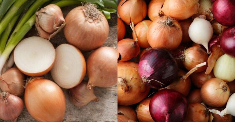 Κόκκινα ή κίτρινα κρεμμύδια; Ειδικός εξηγεί τις διαφορές τους και τα οφέλη για την υγεία – Ποια είναι η καλύτερη επιλογή