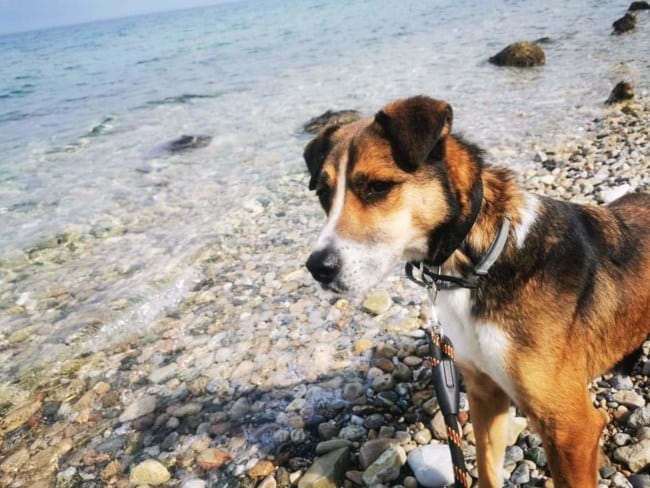 32872c31073d4a3d96e339e5b8455a42