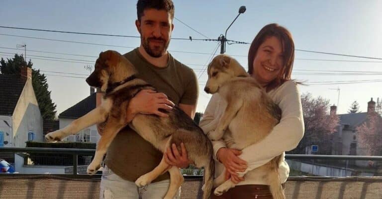 Υιοθέτησαν ένα σκυλί και 45 λεπτά αργότερα πήραν και τον τυφλό αδερφό του