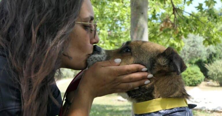 Σώστε ένα αδεσποτάκι: Ο Ρόκο, του έχουμε υποσχεθεί πως πίσω δεν θα τον αφήσουμε να κοιτάξει ποτέ ξανά