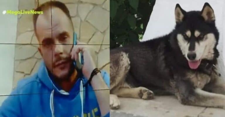 Αράχωβα: «Εγώ είμαι η φωνή του αθώου Όλιβερ, προσπαθούν να την καλύψουν» – Ξεσπά ο ιδιοκτήτης του χάσκι