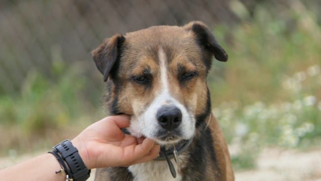 72b34cc8699c40abbab422e62c5d44ea