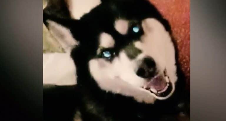 Μεγάλη συγκέντρωση διαμαρτυρίας για τον Όλιβερ στο Σύνταγμα την Κυριακή