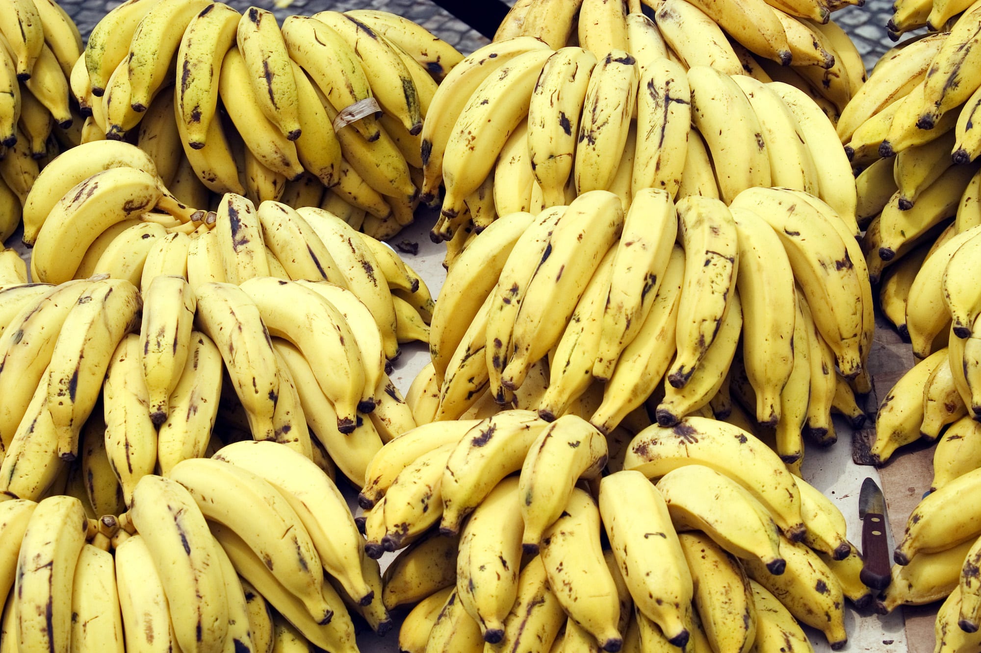 banana bunches