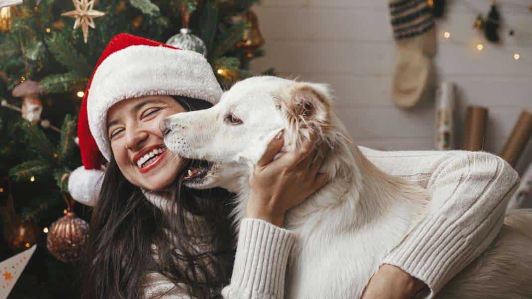 christmas happy