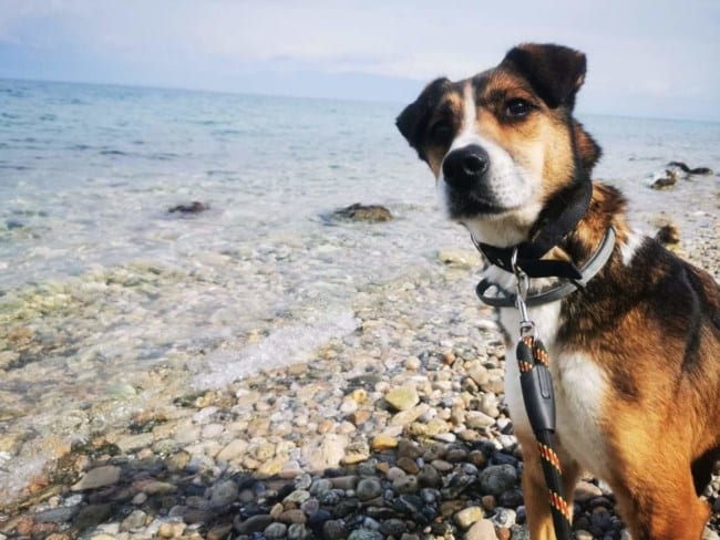 feb72475c59d4acabe820a483ab9477c