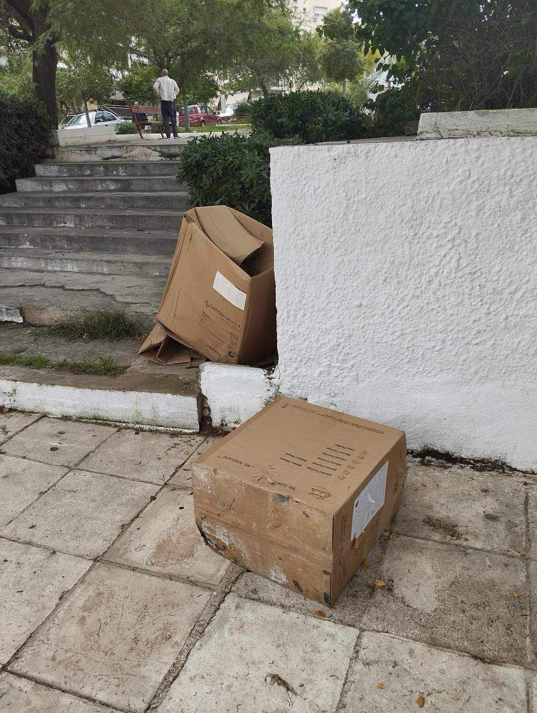 img 1942