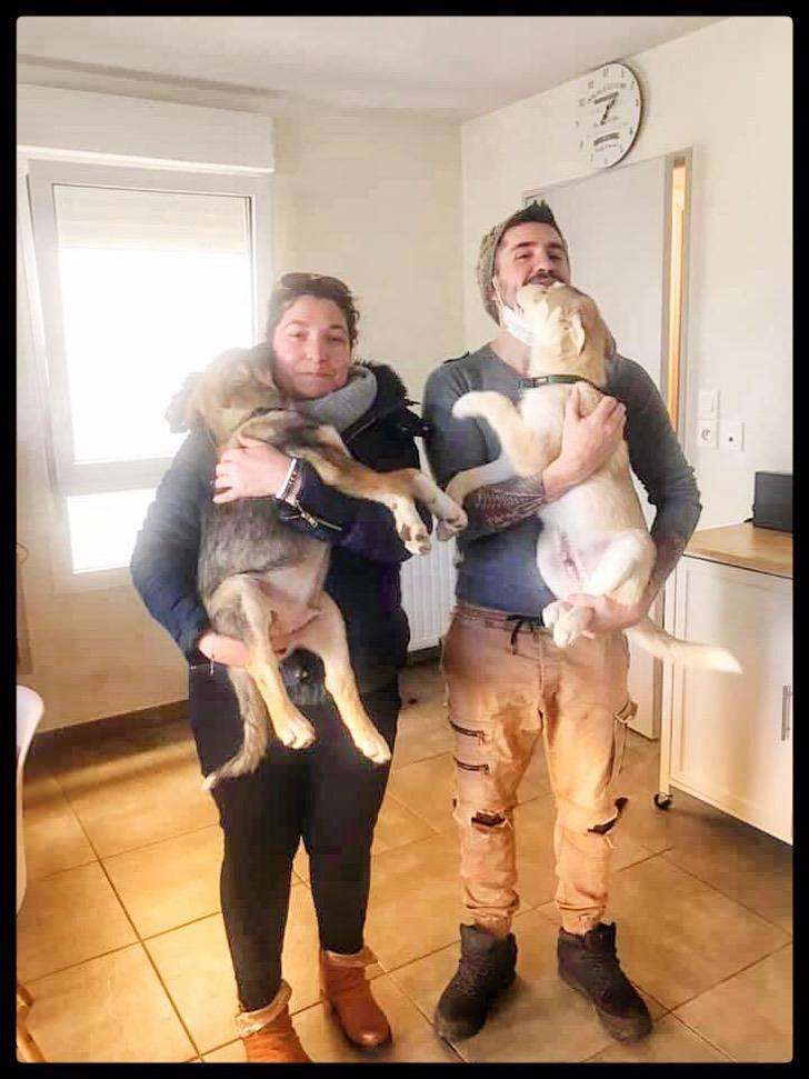 imgonline com ua compresstosize buh2n77paotvcm3c