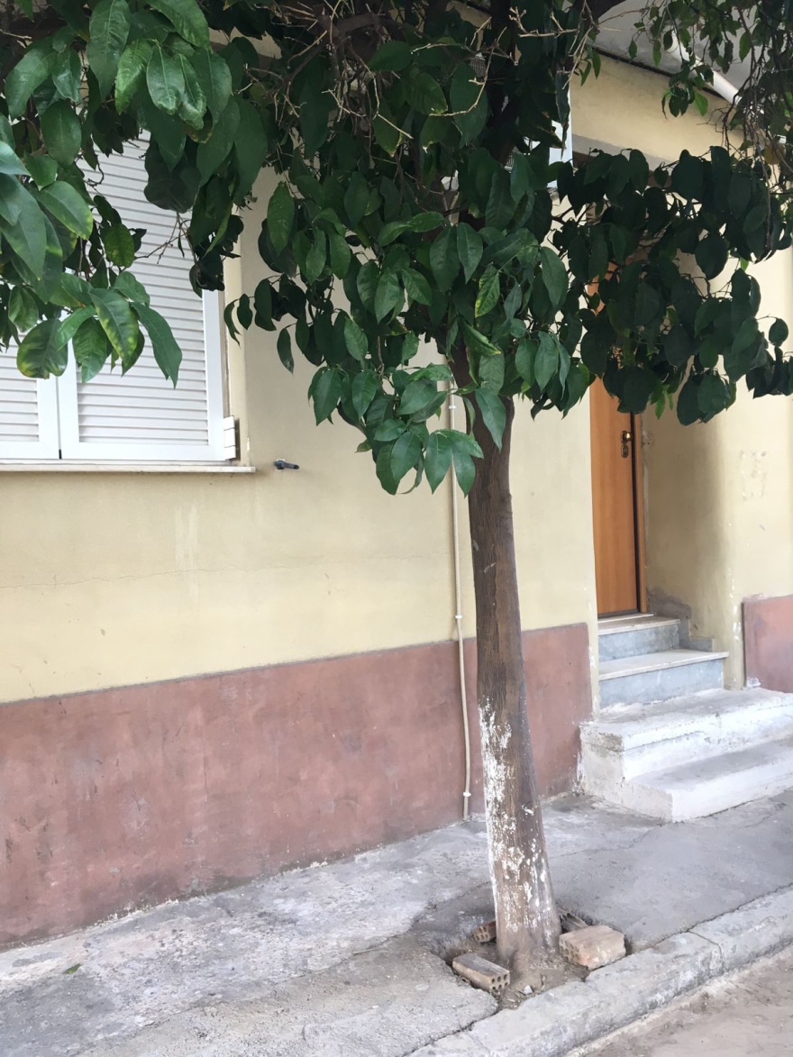 Auτός είναι ο 35χρονος που μαχαiρωσε μέχρι θaνάτου τον πατέρα του μπροστά στην μητέρα του στο Περιστέρι 9 peristeri__3_