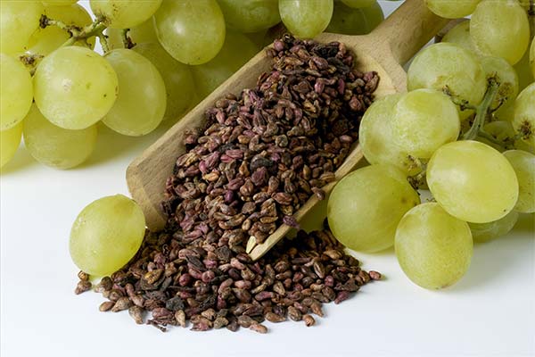 poleznye svojstva vinogradnyh kostochek