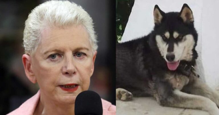 Η Ελενα Ακρίτα ζητά να ανοiξουν τα στóματα για τον Ολιβερ στην Αράχωβα: «Όποιος ξέρει και δε μιλάει δεν είναι καλύτερоς»