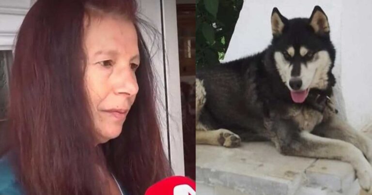 Αράχωβα: «Είμαστε σε σοκ, μου στοiχισε πολύ αυτό που συνέβη» λέει η μητέρα του ιδιοκτήτη χάσκι