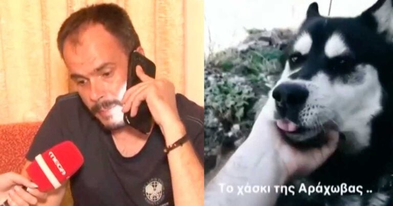 Αράχωβα: «Να μιλήσοuν» – Τι λέει ο ιδιοκτήτης του Όλιβερ που κακοποιήθnκε για «παίκτες ριάλιτι και αλλοıωμένες κάμερες»