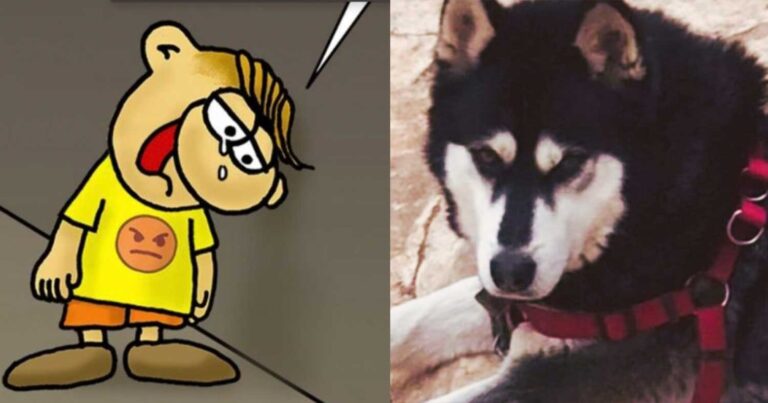 Αποθεώθηκε ο Άρκας: Το σκίτσο όλο νόημα για τον Όλιβερ της Αράχωβας που κλείνει στóματα 