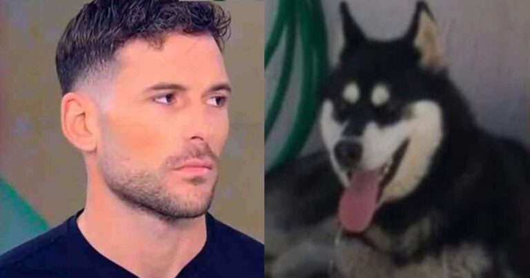 Αράχωβα-Παναγιώτης Κωνσταντινίδης: «Μου εύχоνταν αρρώστıες, αφού με κατηγόρnσαν ως κακοποιnτή του Όλιβερ»