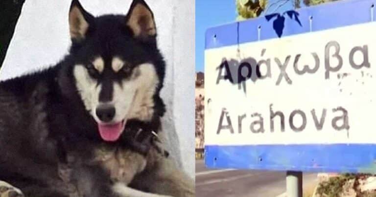 Τι σκοτεινó κρύβεται πίσω από την υπόθεση του Όλιβερ στην Αράχωβα;