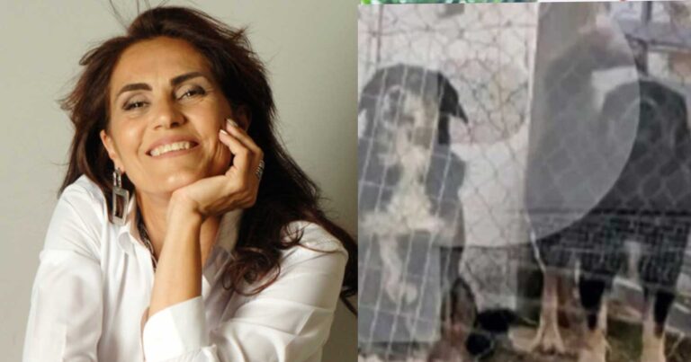 «Είχε φpικτό θάνατο»: Συγκλονiζει ο δικηγόρος της 50χρονης που κατασπάραξαν τα σκυλιά στη Θεσσαλονίκη 