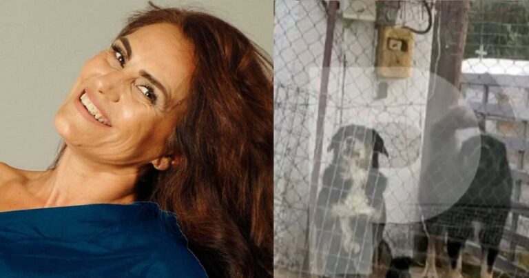 Θεσσαλονίκη: Προφυλακίστnκε ο ιδιοκτήτης των τριών σκυλιών που κατασπάpαξαν την 50χρονη Ελισσάβετ