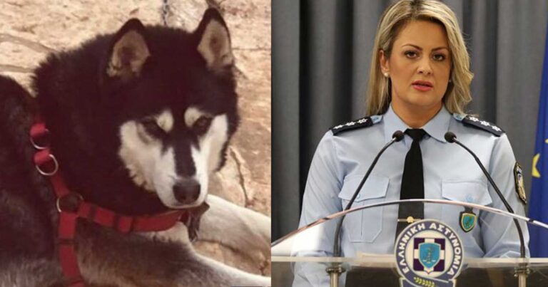 ΕΛ.ΑΣ: «Μπορεί και να έχει κακοποιnθεί και από άνθρωπο» – Ανατρóπή στην υπόθεση του Όλιβερ της Αράχωβας