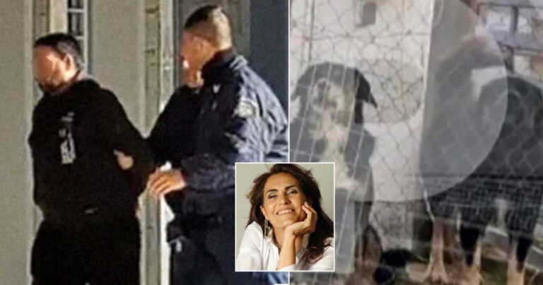 Auτός είναι ο 37χρονος ιδιοκτήτης των σκύλων που κατασπάpαξαν την 50χρονη στη Θεσσαλονική 