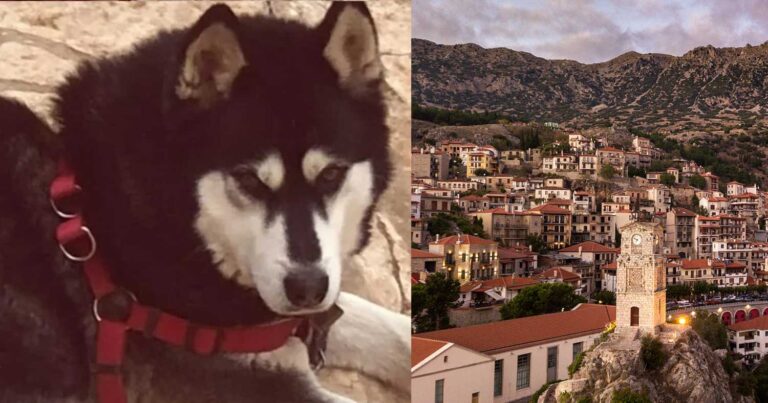 Συγκέντρωση διαμαρτυρίας στην Αράχωβα για τον Όλιβερ