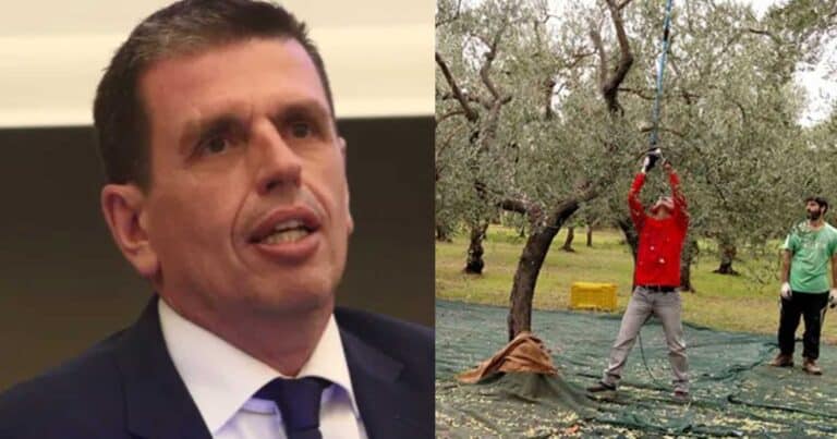 Καιρίδης: «Χωρίς τους μετανάστες, εργάτες γης, υπάρχει κίνδυνος να μην μαζευτούν οι ελιές και να χάσουμε 1-1,5 δıσ.»