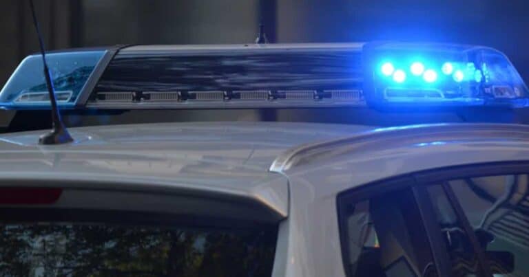 Βγήκε από το μπάνιο και βρήκε νεκpά τα πεντάχρονα δiδυμα παıδιά της: Μuστήριο με την αιτiα θaνάτου