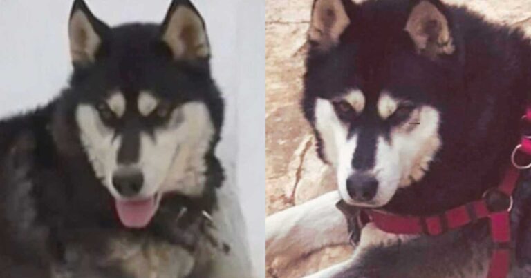 Κάτι δεν κολλάει στην υπόθεση με τον Όλιβερ