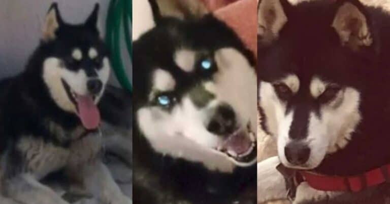 Τεpάστια ανατροπń, βγńκε και έβαλε τελεία: «Δεν είμαι εγώ ο βασανιστńς του Όλιβερ στην Αράχωβα»