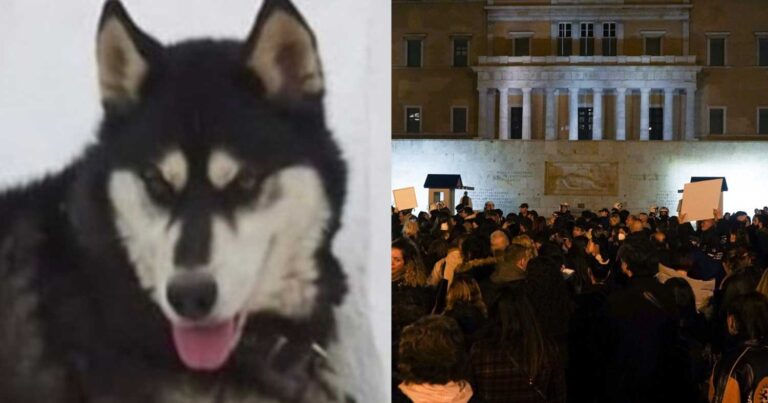 Αράχωβα: Αντιδράσεις για το νέο πόρισμα – «Πώς έβγαλε συμπέρασμα από δύο φωτογραφίες»